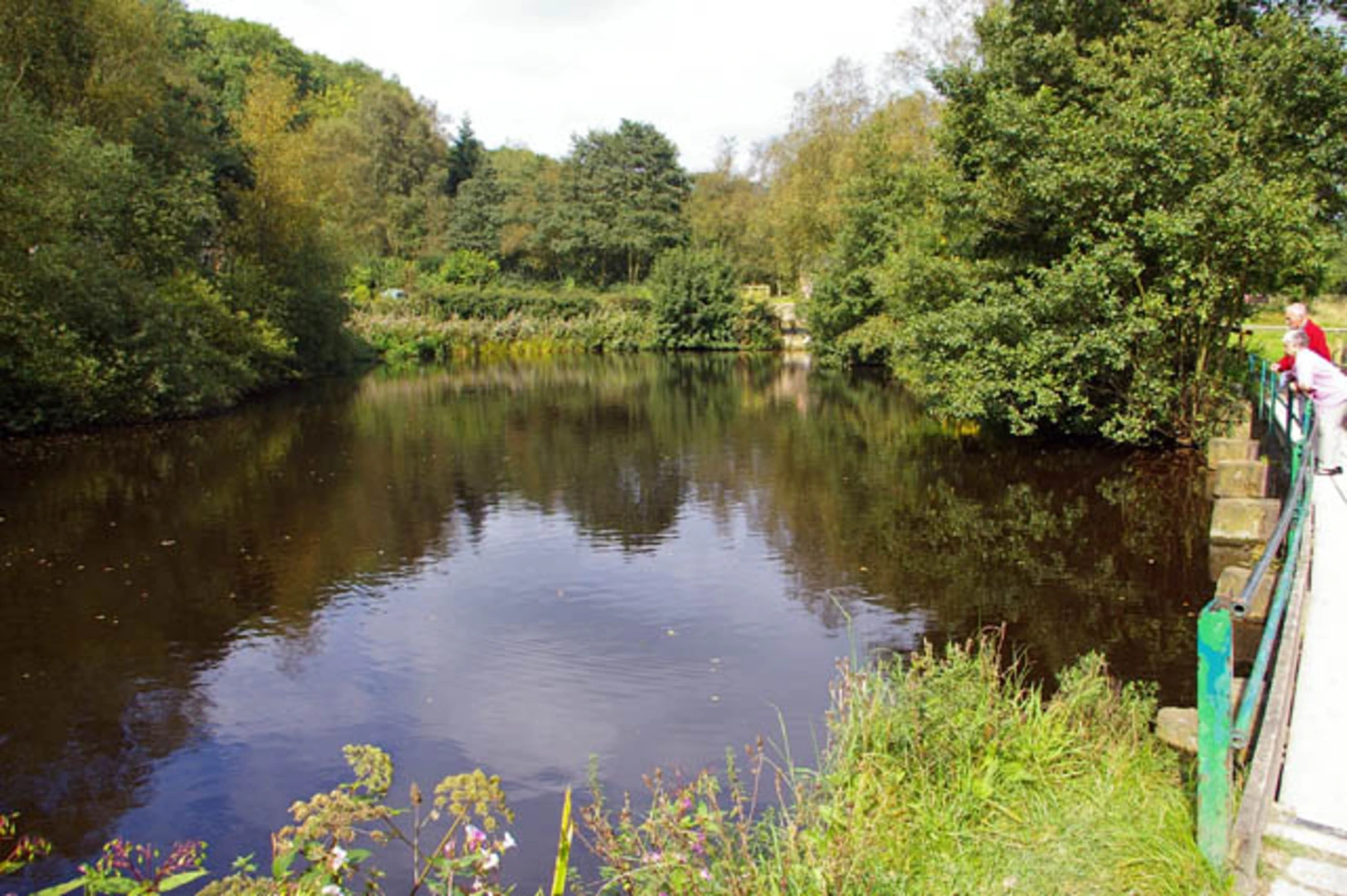 An image depicting the trail Etherow Country Park, River Goyt and Barlow Wood Loop and its surrounding area.