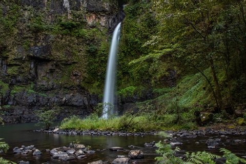 Nandroya Falls Track