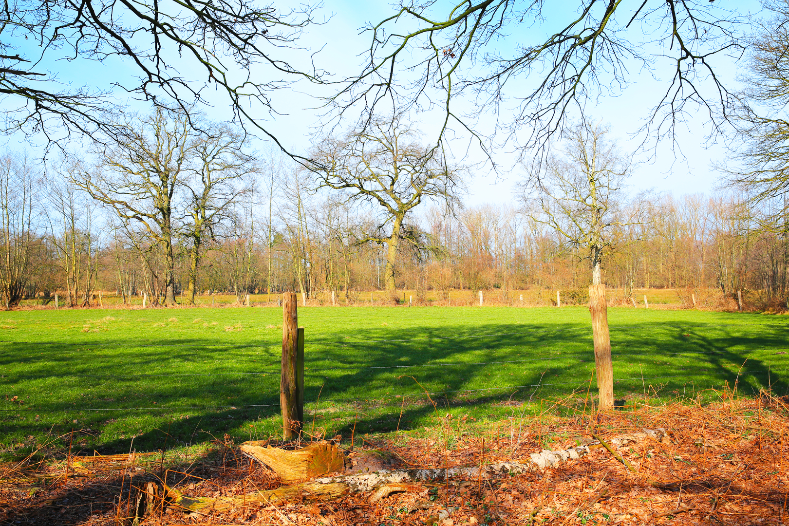 An image depicting the trail Weg für Genießer and its surrounding area.