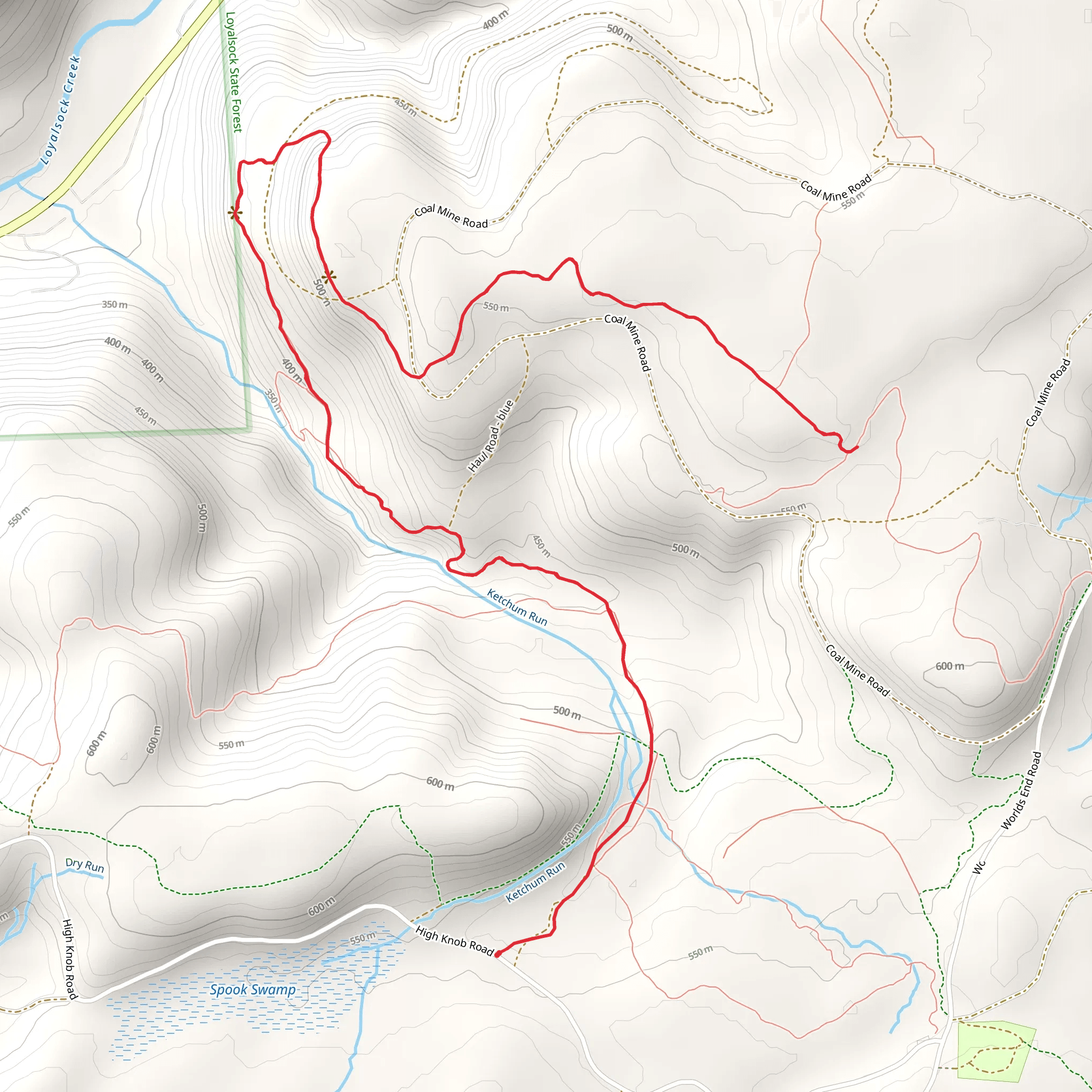 Ketchum Run and Loyalsock Trail mobile static map