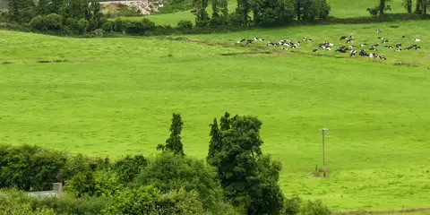 An image depicting the trail Knockalough - Red Hugh Loop and its surrounding area.