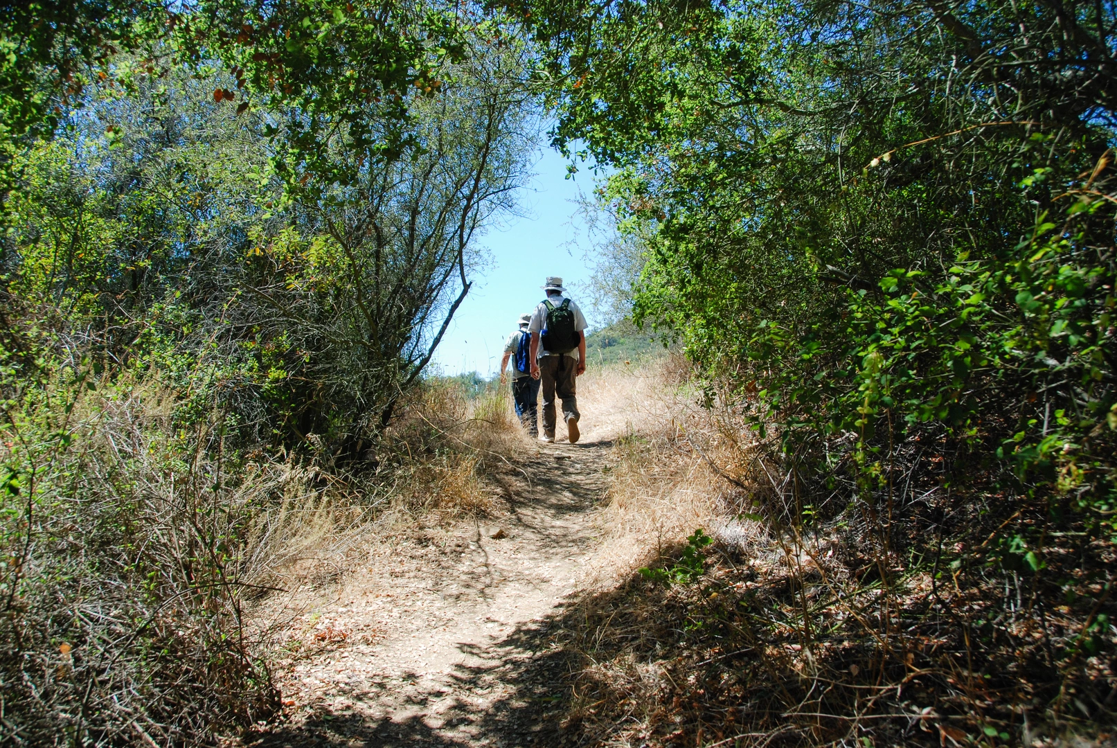 An image depicting the trail Malibu Springs, Nicholas Pond and Ridgeline Loop Trail and its surrounding area.