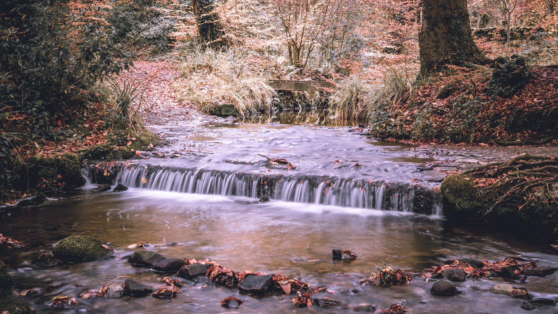 An image depicting the trail Florence Court Blue Trail and its surrounding area.