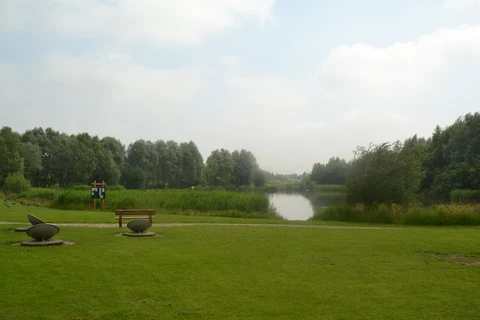 An image depicting the trail Brierley Forest Park Loop - Huthwaite and its surrounding area.