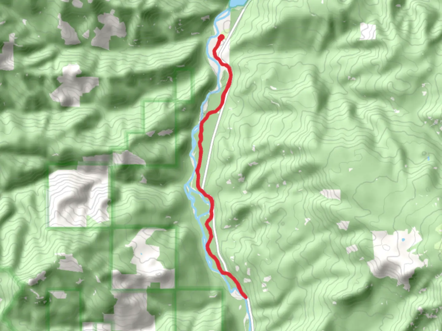 An image depicting the trail Middle Fork Willamette Trail and its surrounding area.