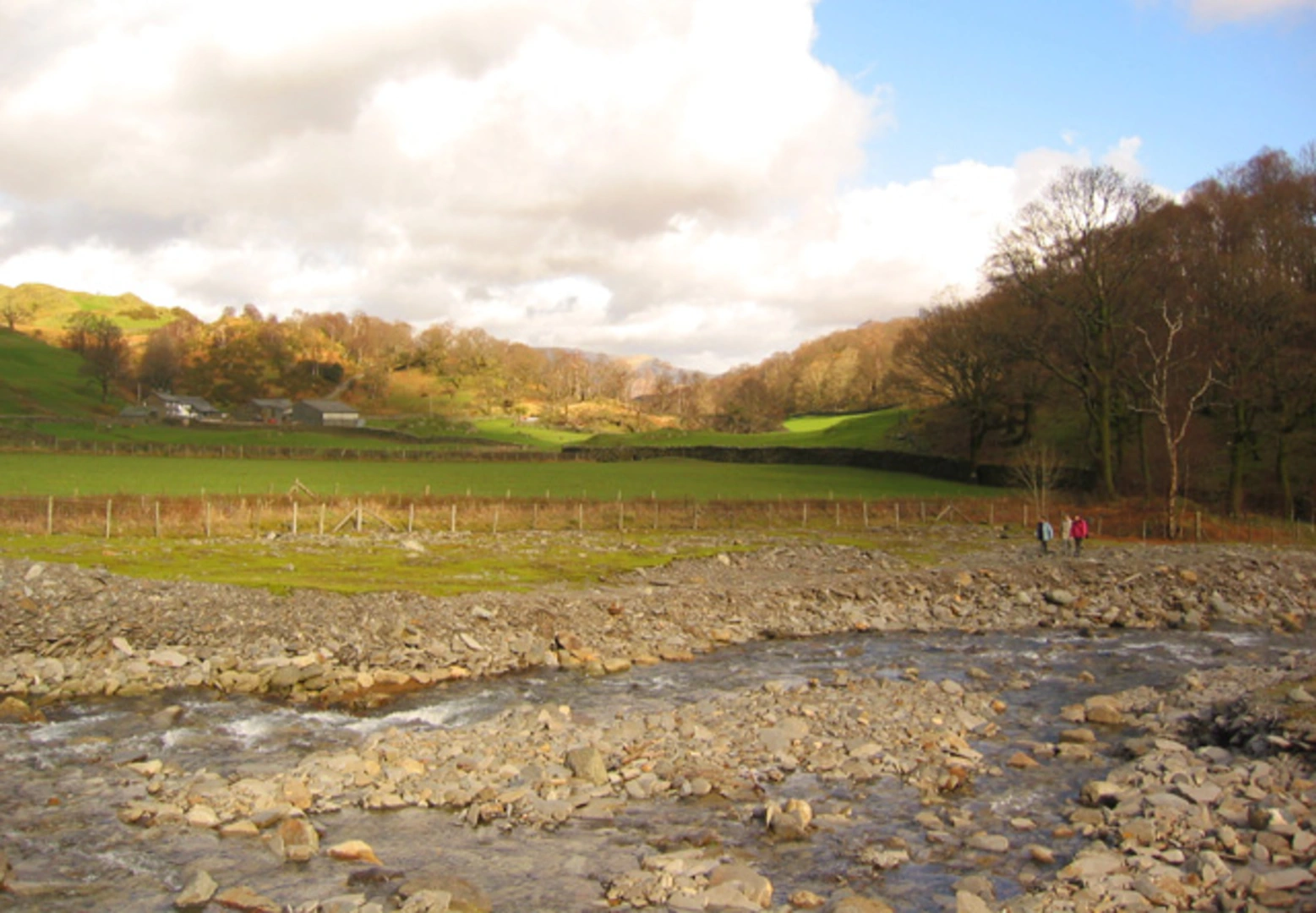 An image depicting the trail Coniston and Tarn Hows Wood Loop via Cumbria Way and its surrounding area.