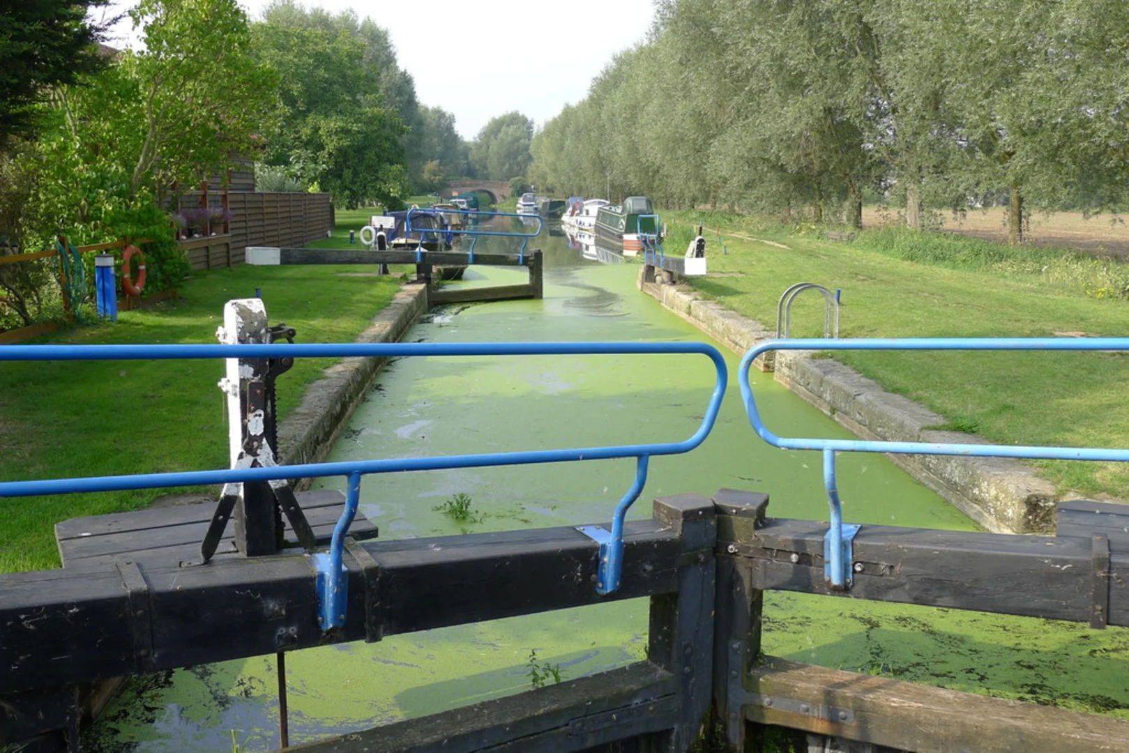An image depicting the trail Sandon Northern Loop via Hall wood and its surrounding area.