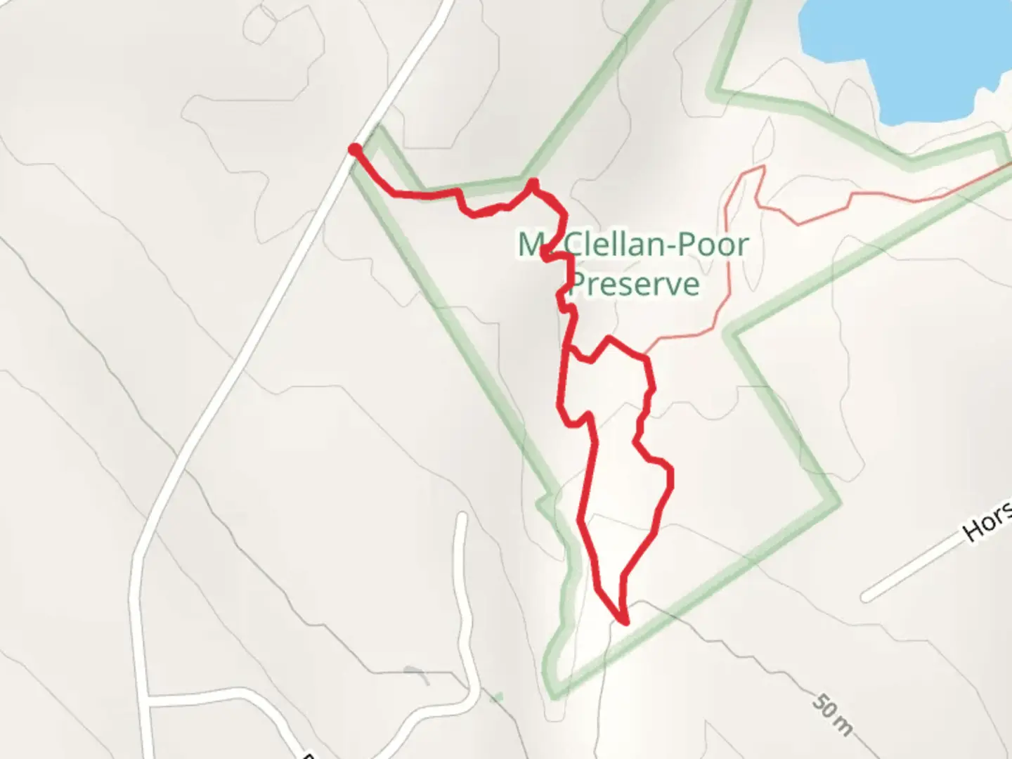 An image depicting the trail Peggity's Path Loop and its surrounding area.