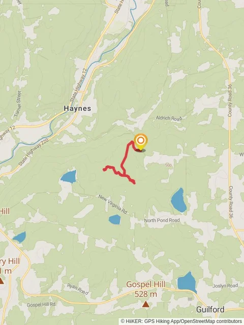 Lyon Brook Out and Back