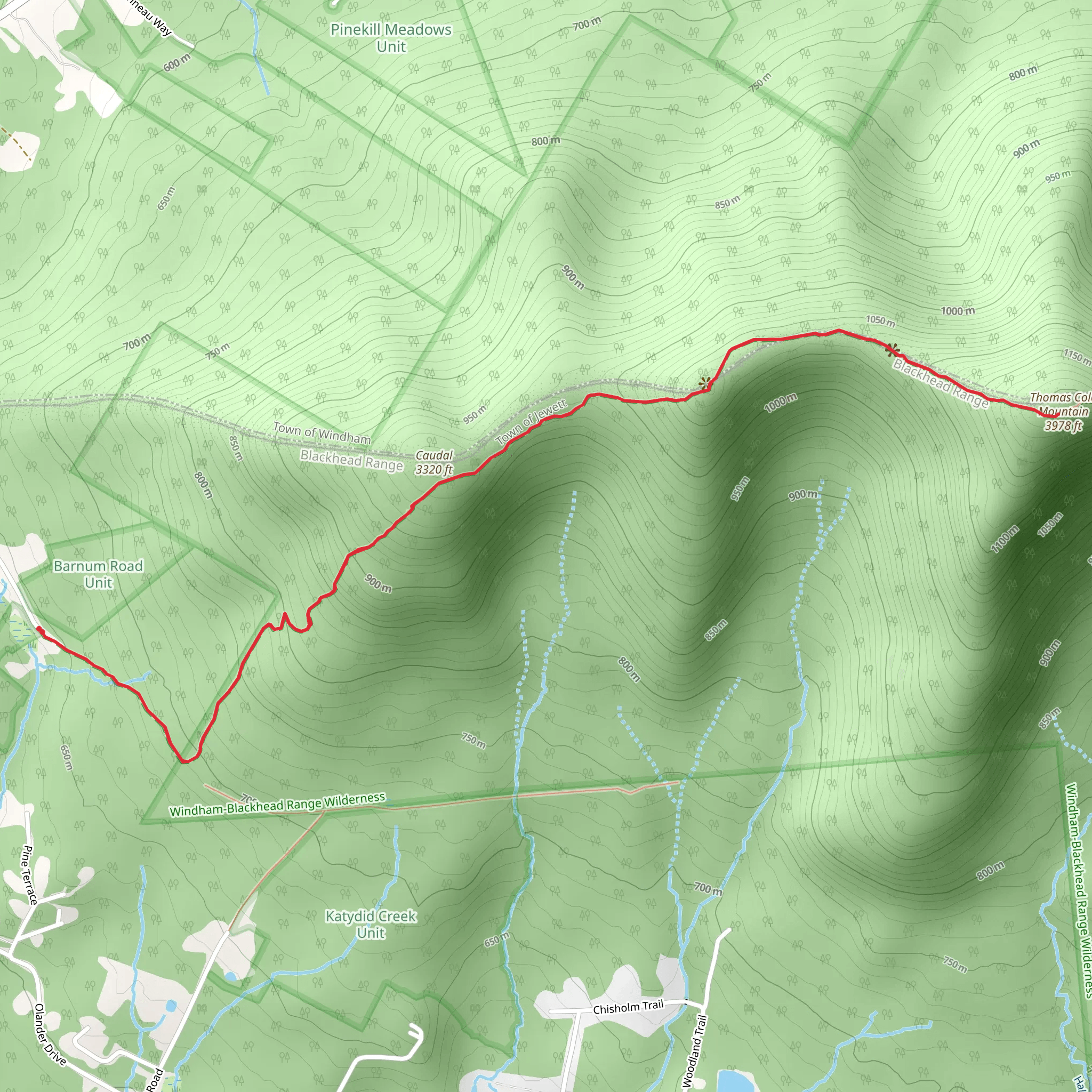 Thomas Cole Mountain via Black Dome Range Trail Out and Back mobile static map