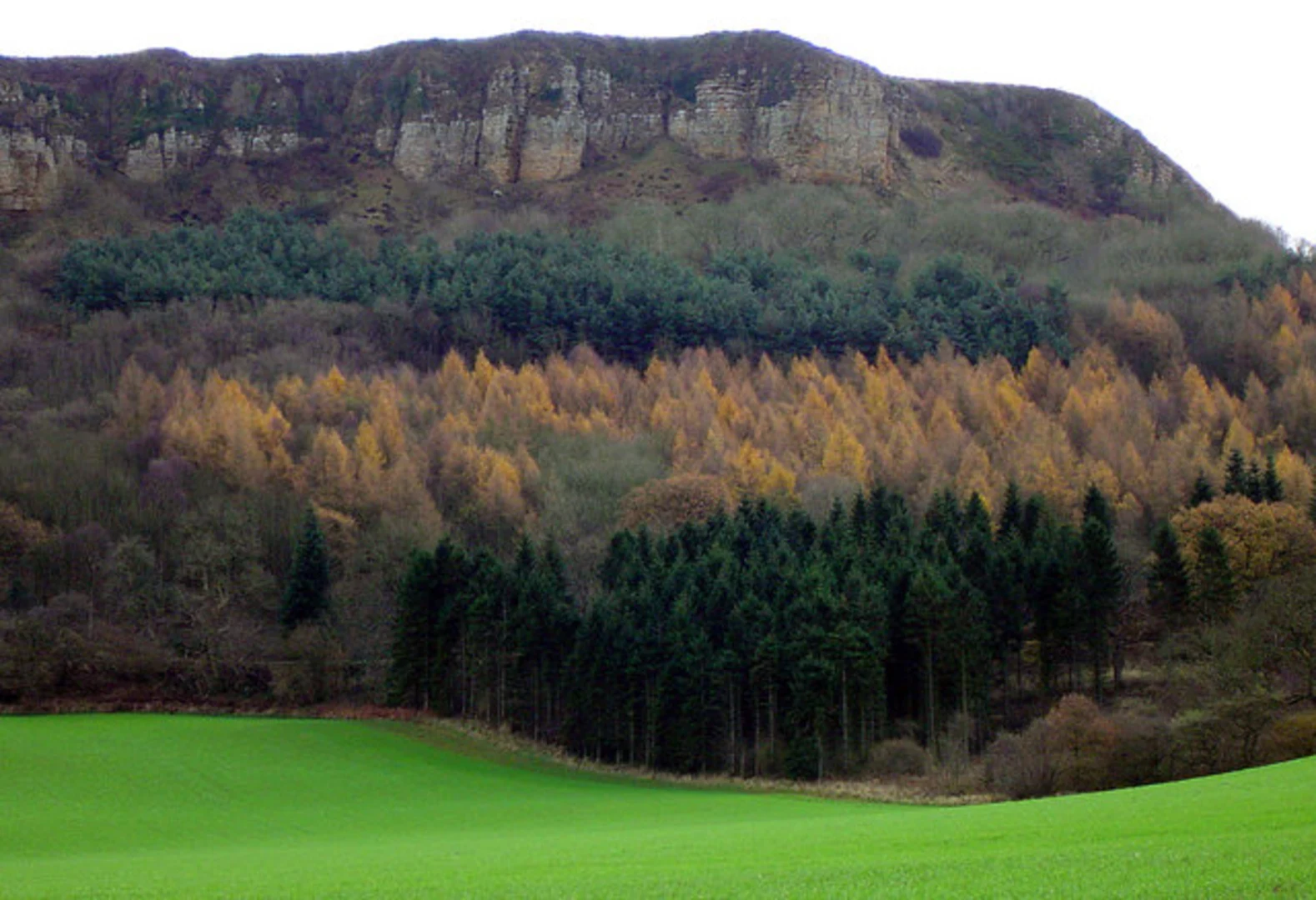 An image depicting the trail Kilburn White Horse Short Loop and its surrounding area.