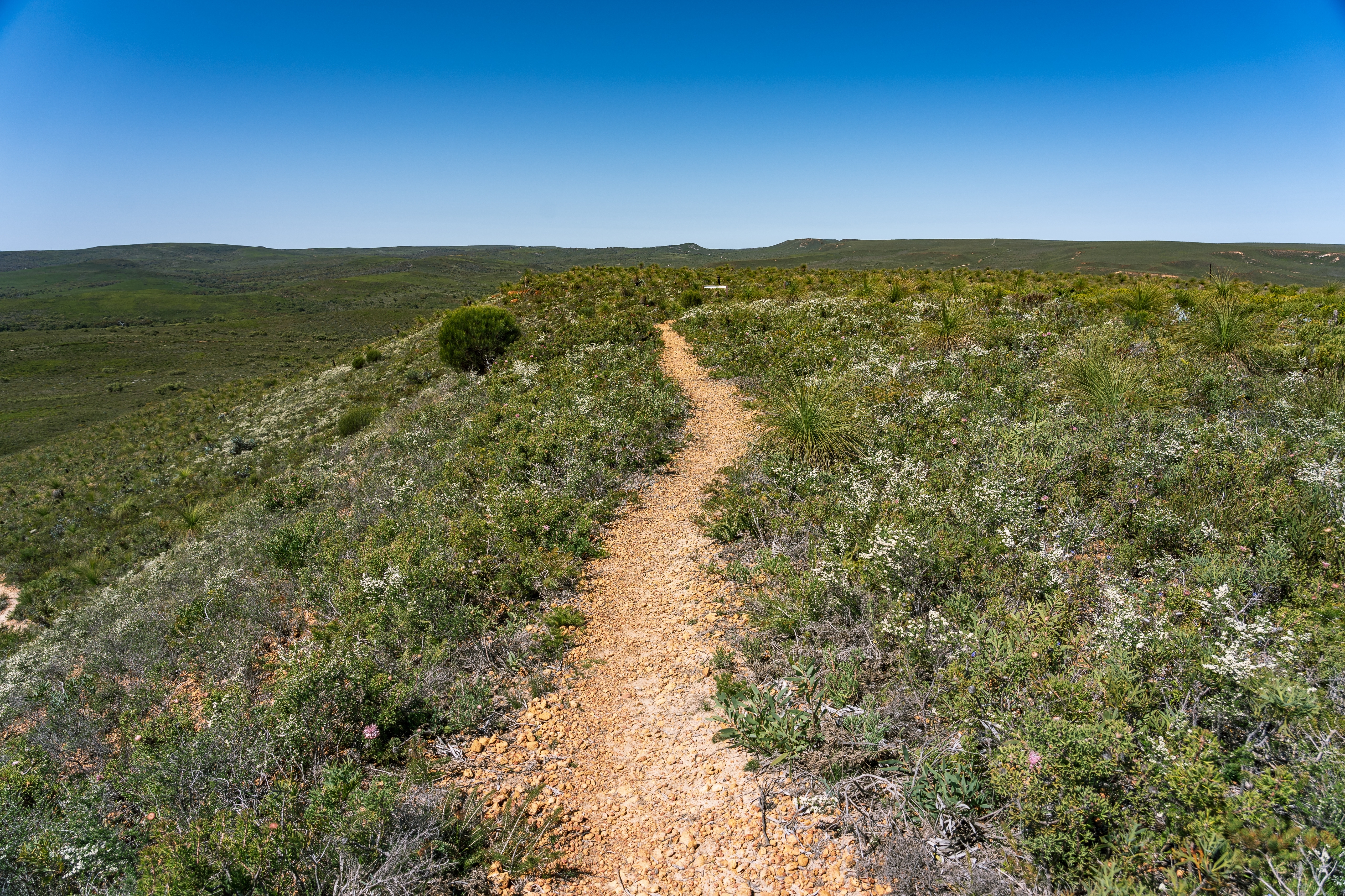 An image depicting the trail Lesueur National Park and its surrounding area.