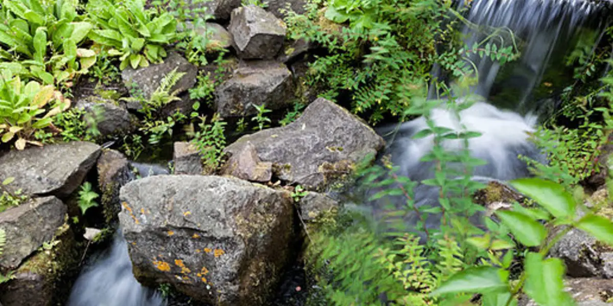 Stockbridge and the Royal Botanic Garden Edinburgh