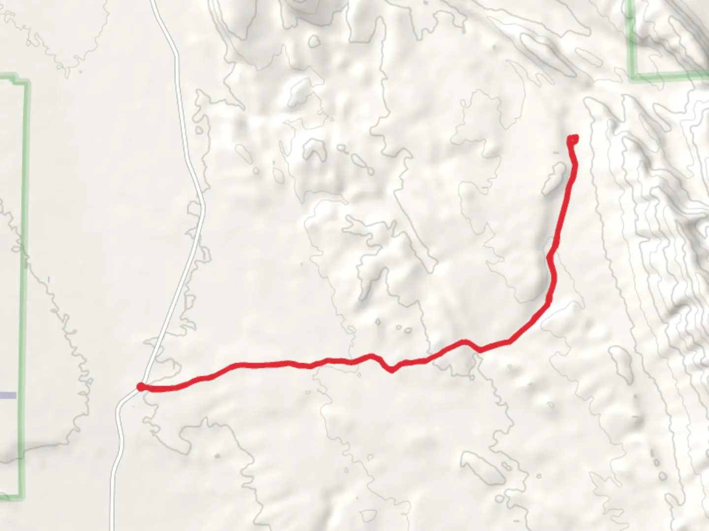 An image depicting the trail Dagger Flat Auto Trail and its surrounding area.