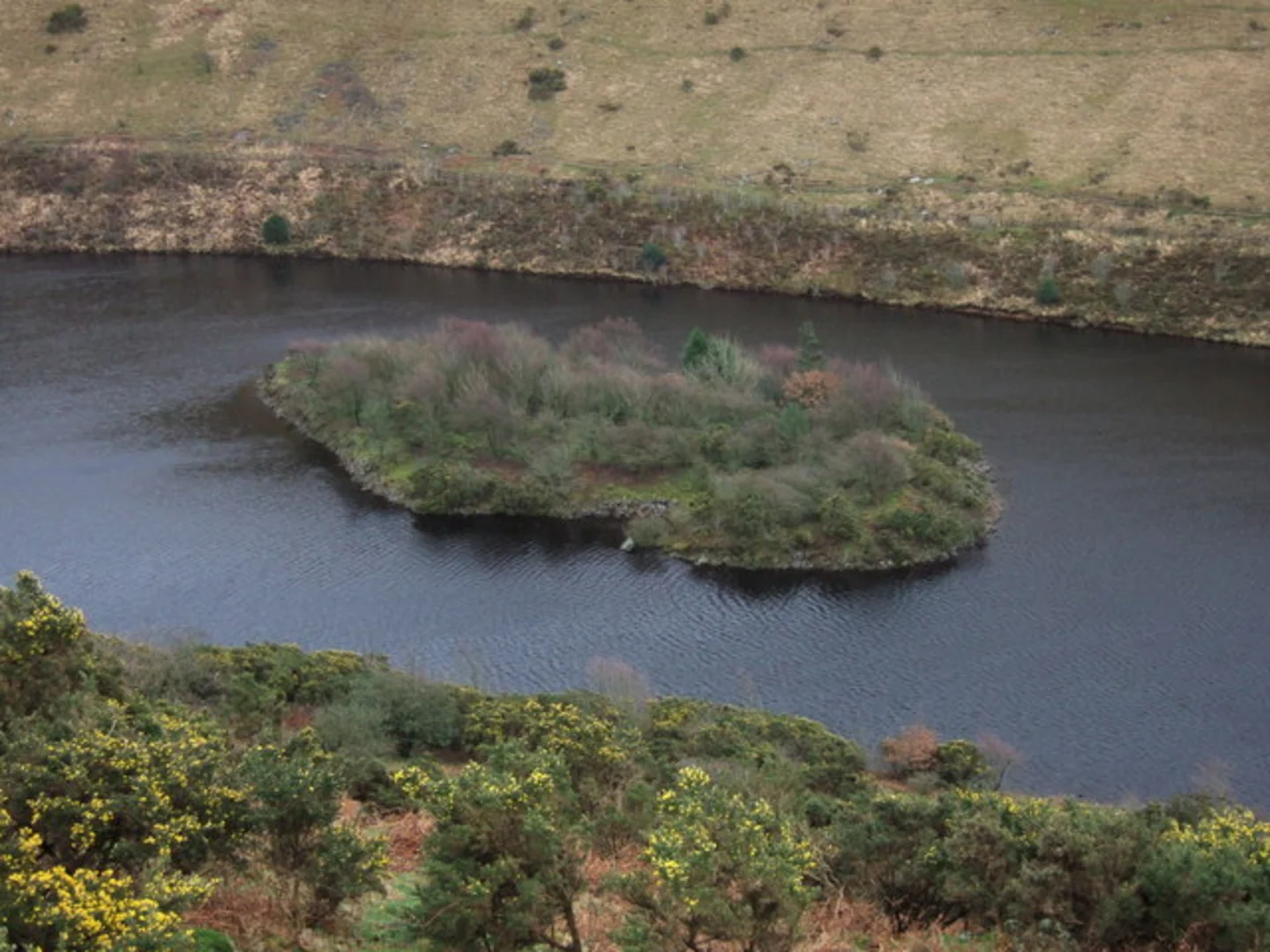 An image depicting the trail Meldon Reservoir and Longstone Hill Loop and its surrounding area.