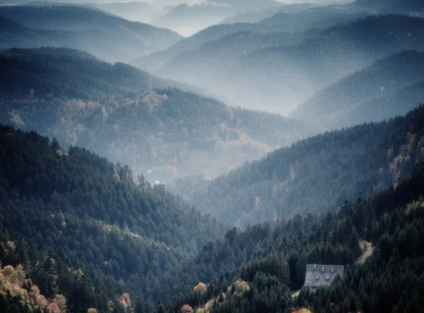An image depicting the trail Mooswald, Waldhauser and Mooswaldkopf Loop and its surrounding area.