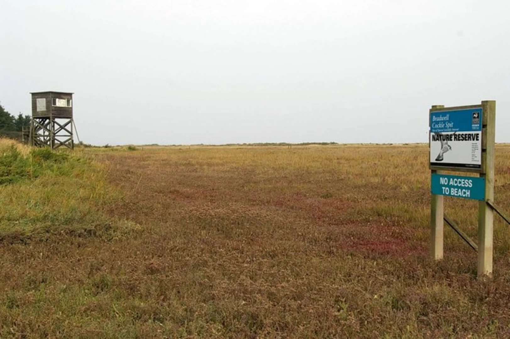 An image depicting the trail Bradwell on Sea Circular and its surrounding area.
