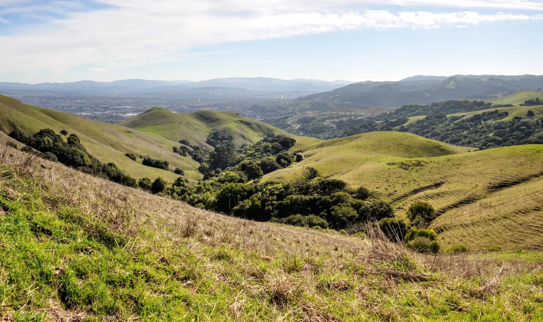 An image depicting the trail Calaveras Ridge Regional Trail and its surrounding area.