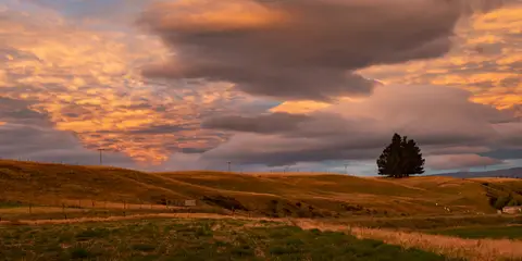 An image depicting the trail Otago Central Rail Trail and its surrounding area.