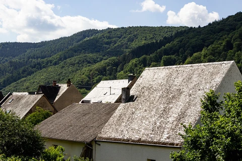 Ediger Eller to Cochem Walk via Reichsburg