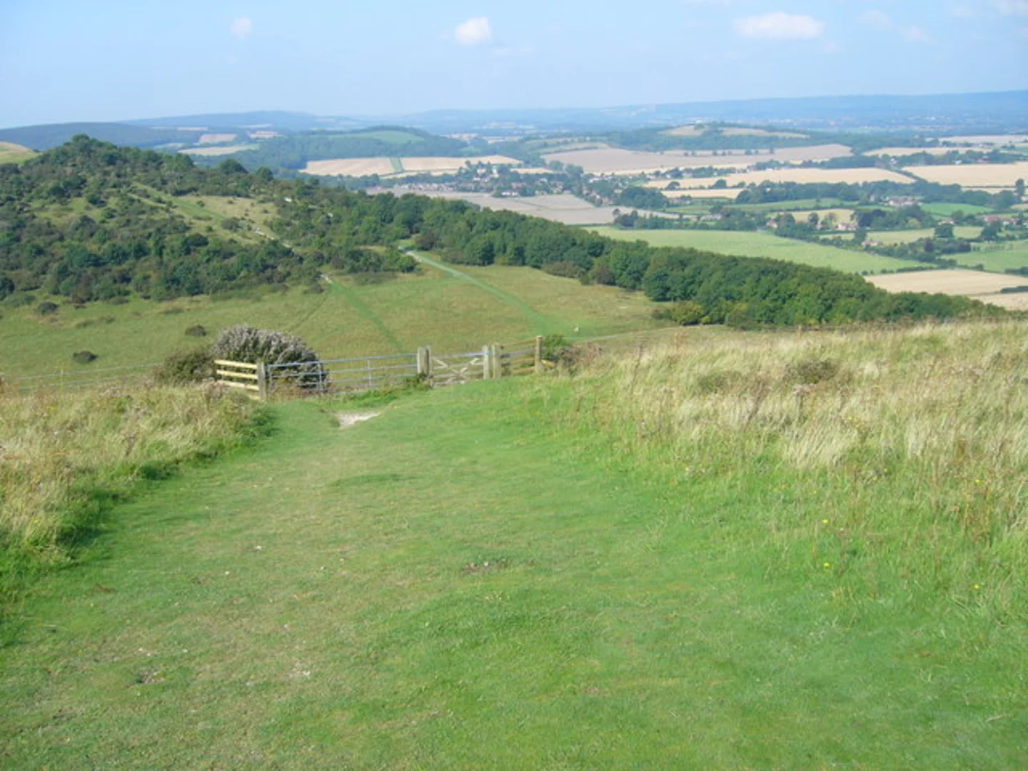 An image depicting the trail Harting Beacon Hilltop Enclosure Loop and its surrounding area.