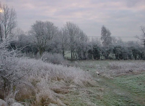 Glen Gorse Golf Club Loop