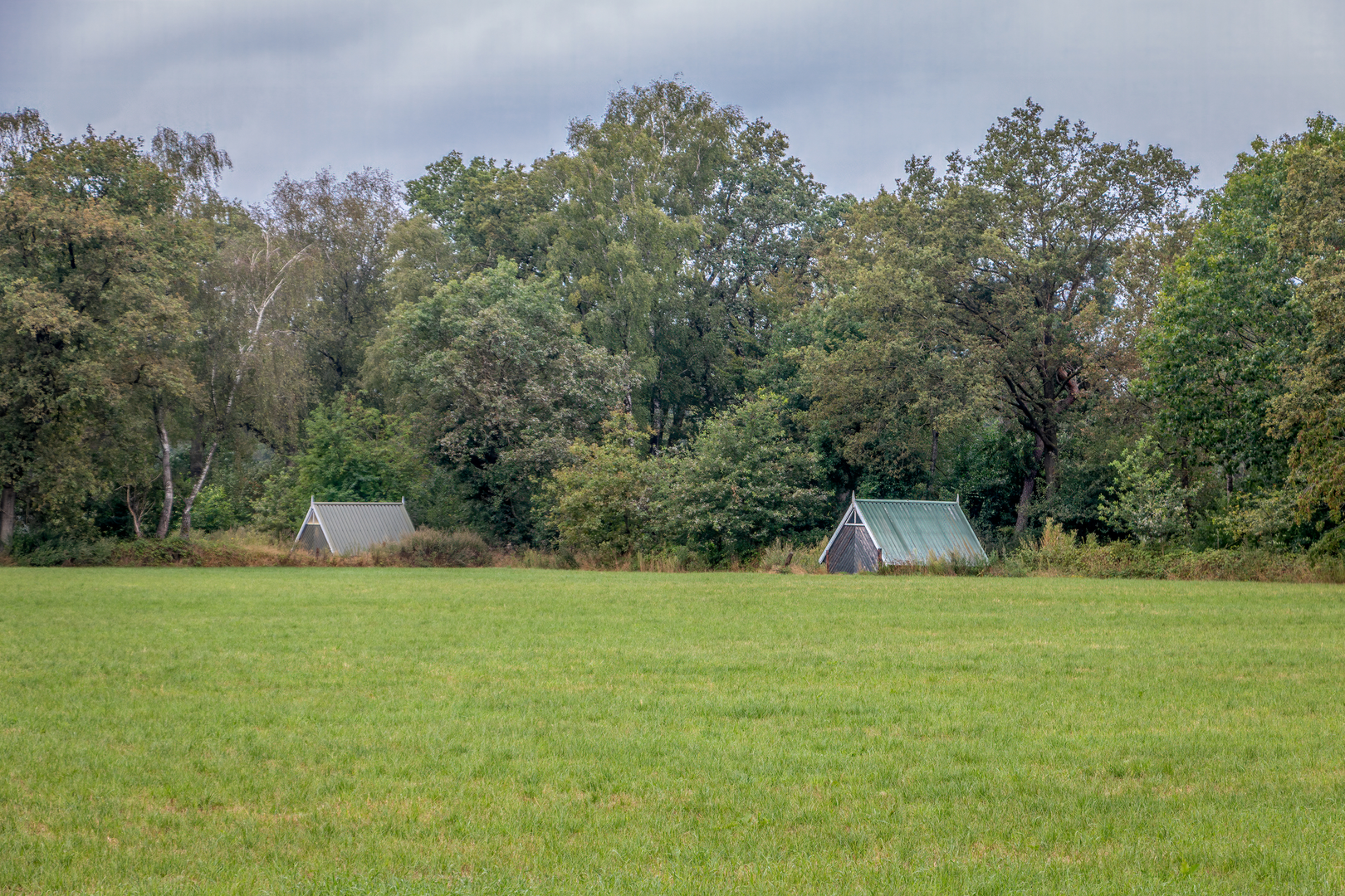 An image depicting the trail Teesink Weg and Rondje Enschede Loop and its surrounding area.