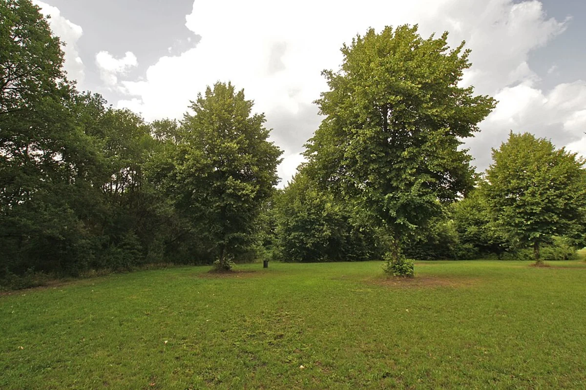 Altonaer Volkspark Loop