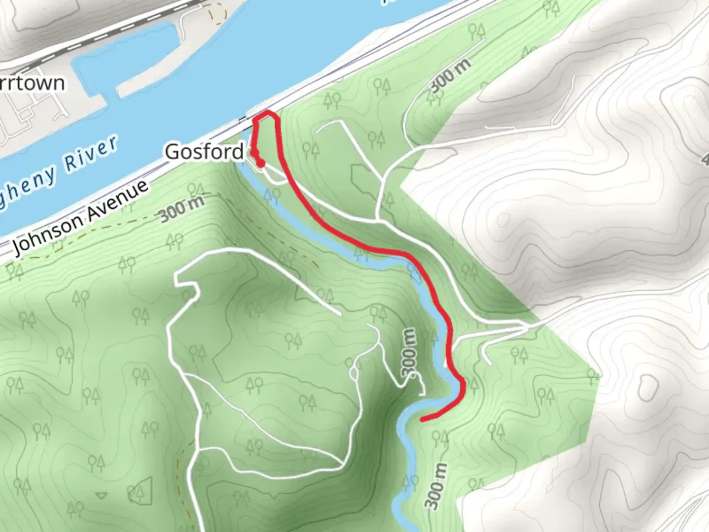 An image depicting the trail Cowanshannock Trail and its surrounding area.