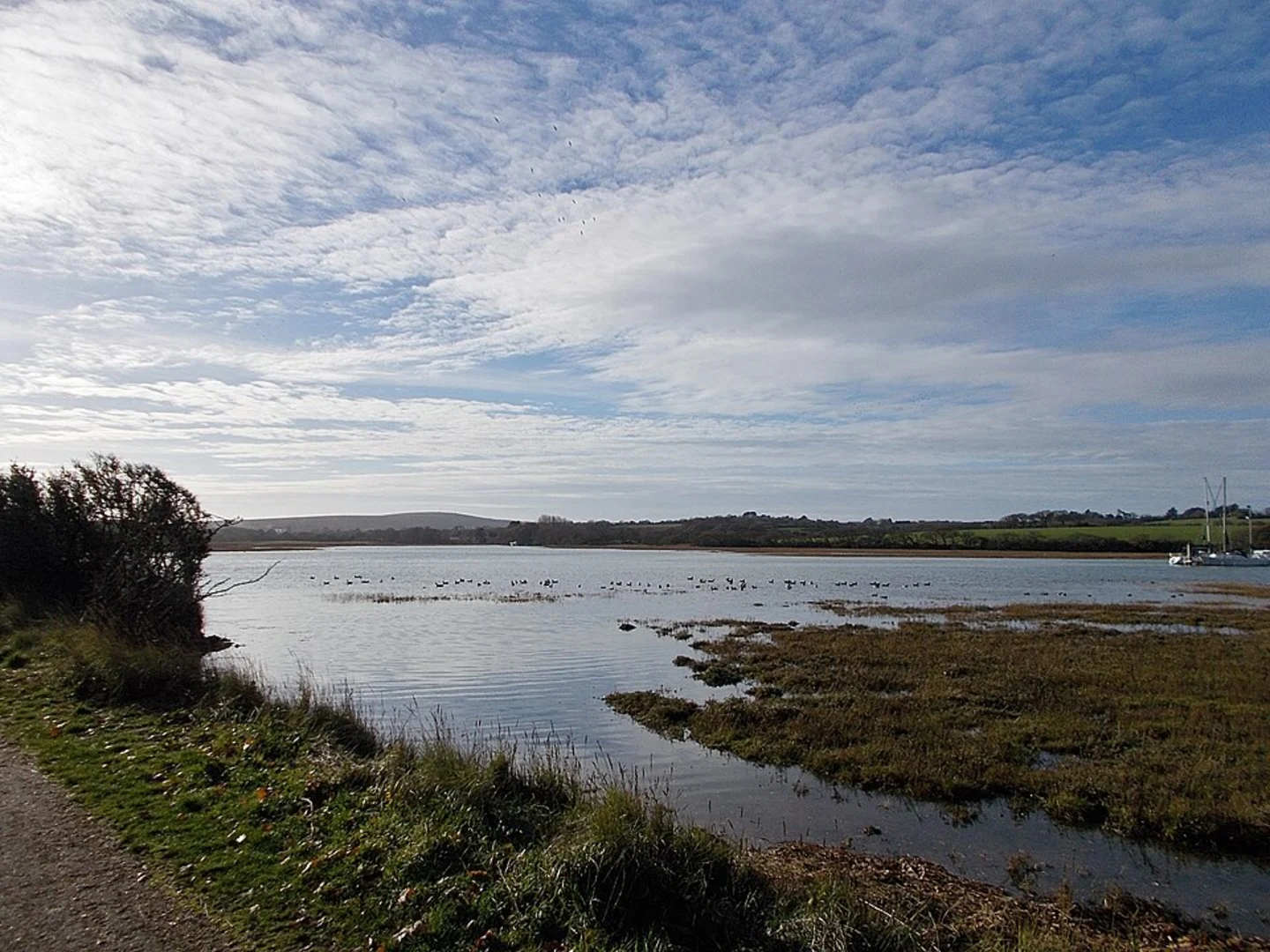 An image depicting the trail Western Yar Lake Loop and its surrounding area.