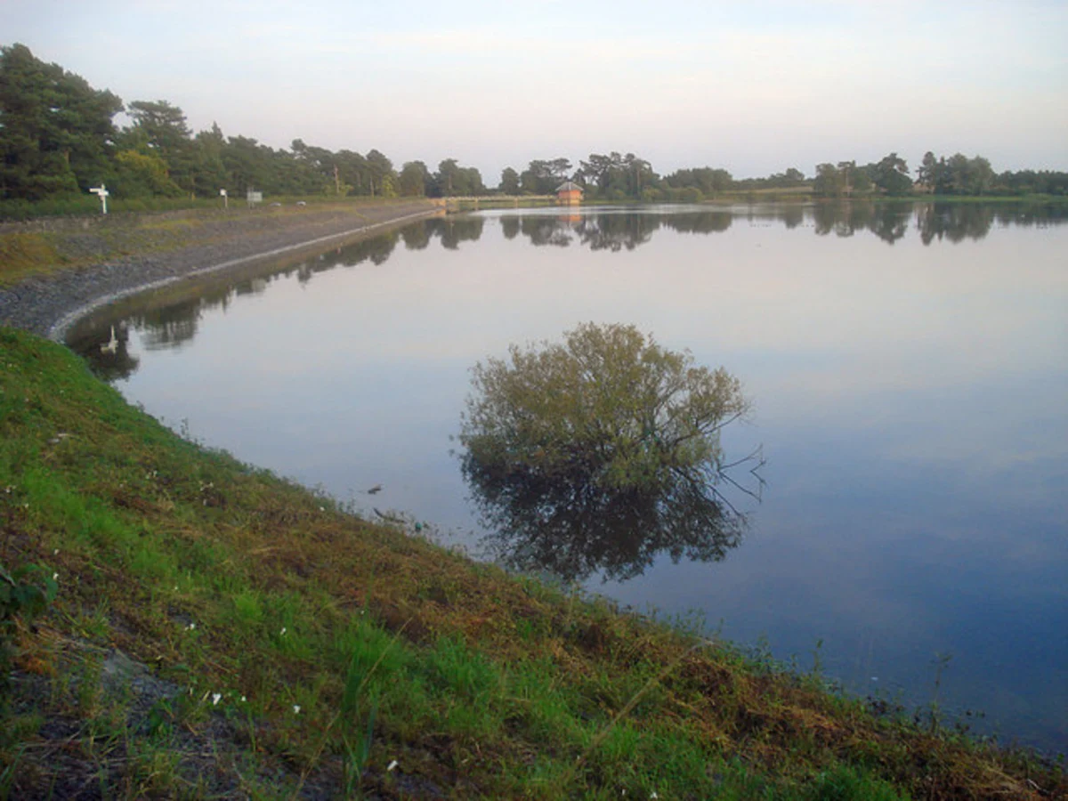 Swithland Wood and Bradgate Country Park Loop