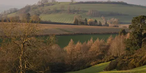 An image depicting the trail Upper Quinton and Hidcote Bartrim from Mickleton and its surrounding area.