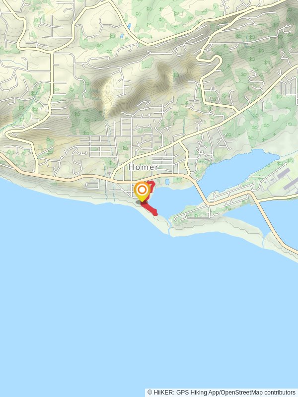 Beluga Slough Trail Loop