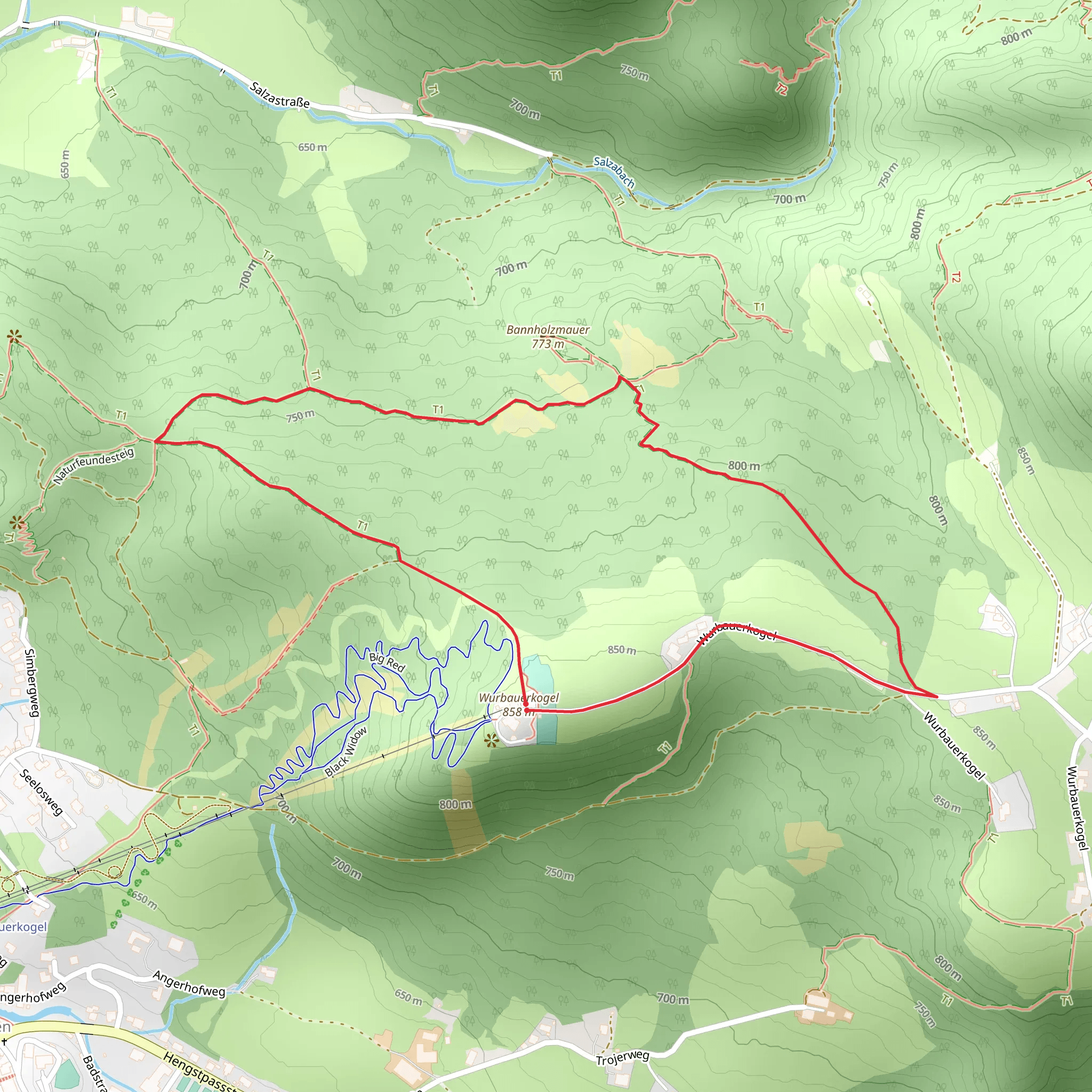 Bannholzmauer mobile static map