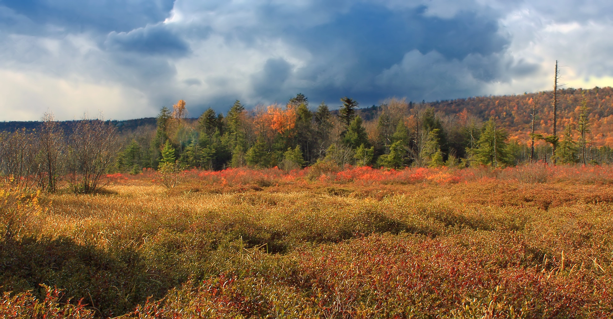 An image depicting the trail Little Flat and Bear Meadows Loop and its surrounding area.