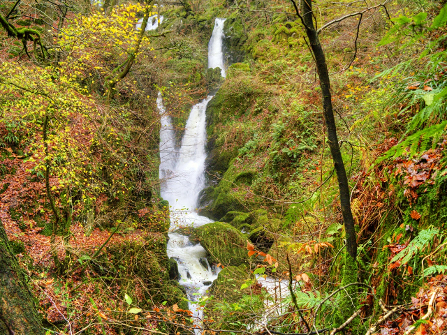 An image depicting the trail Windermere and Wansfell Pike to Ambleside Walk and its surrounding area.
