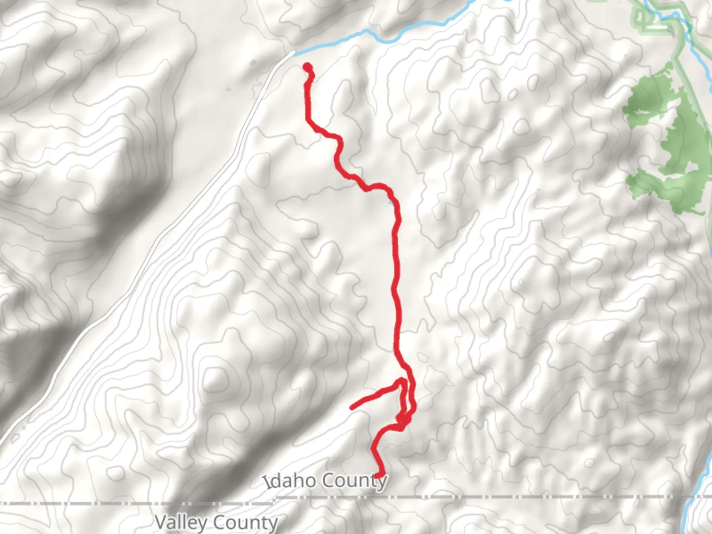 An image depicting the trail Willow Basket Creek and its surrounding area.