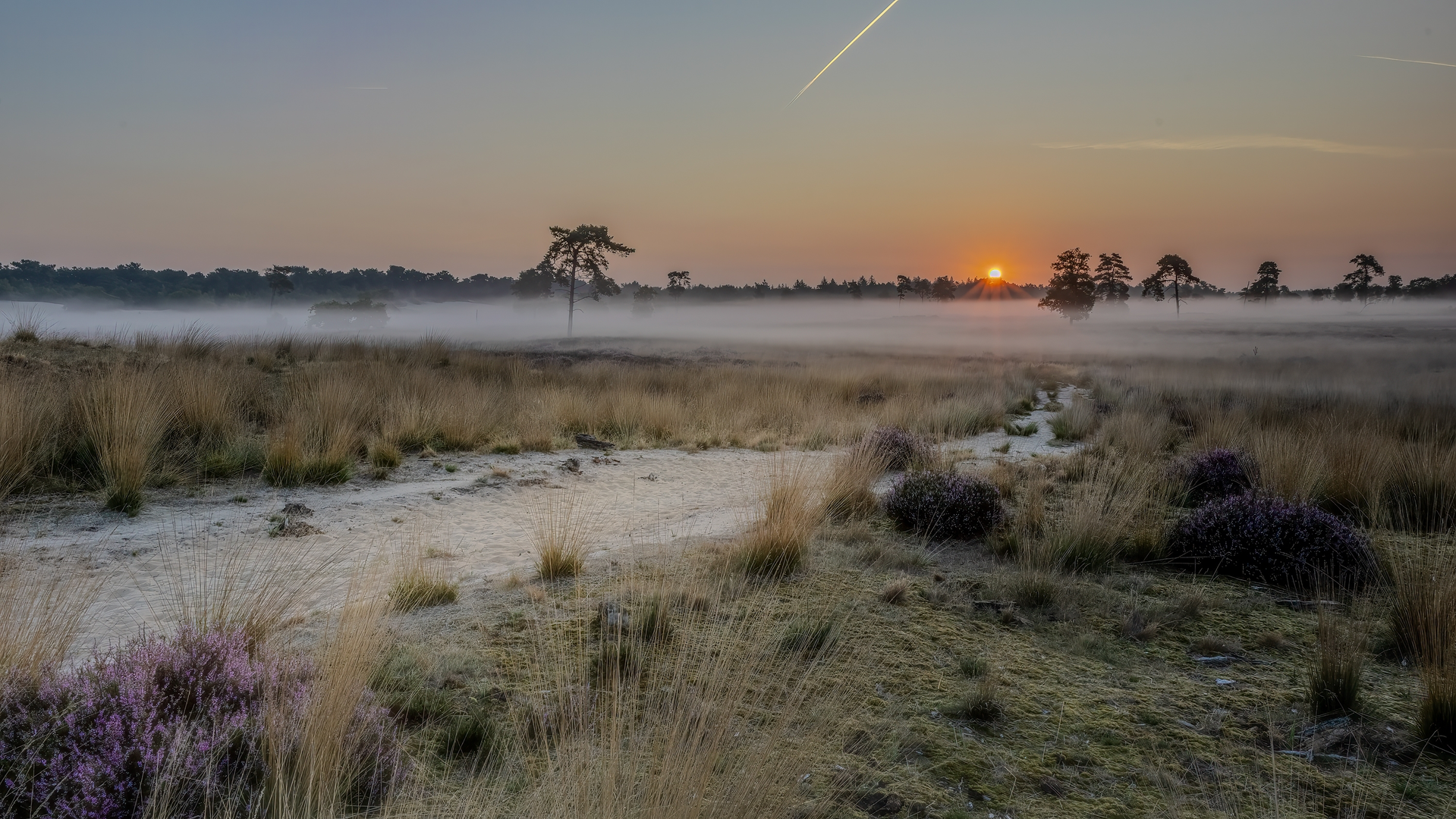 An image depicting the trail Kraanvensche, Roestelberg and Land van Kleef Loop and its surrounding area.