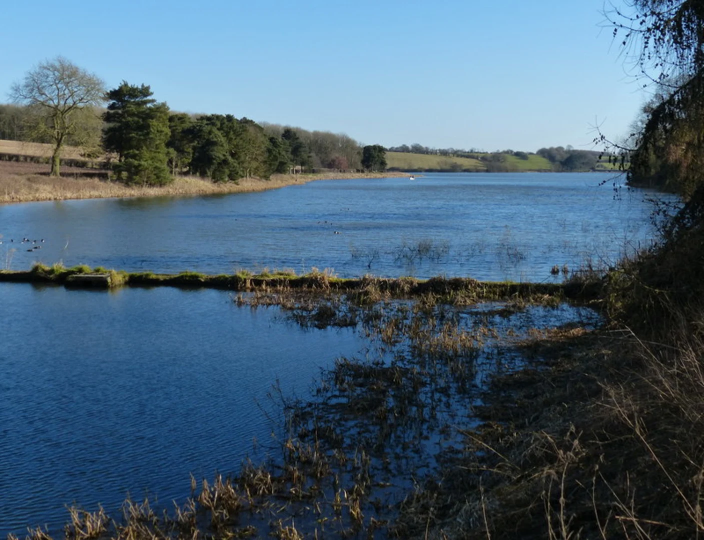 An image depicting the trail Browns Wood and Thornton Reservoir Loop and its surrounding area.