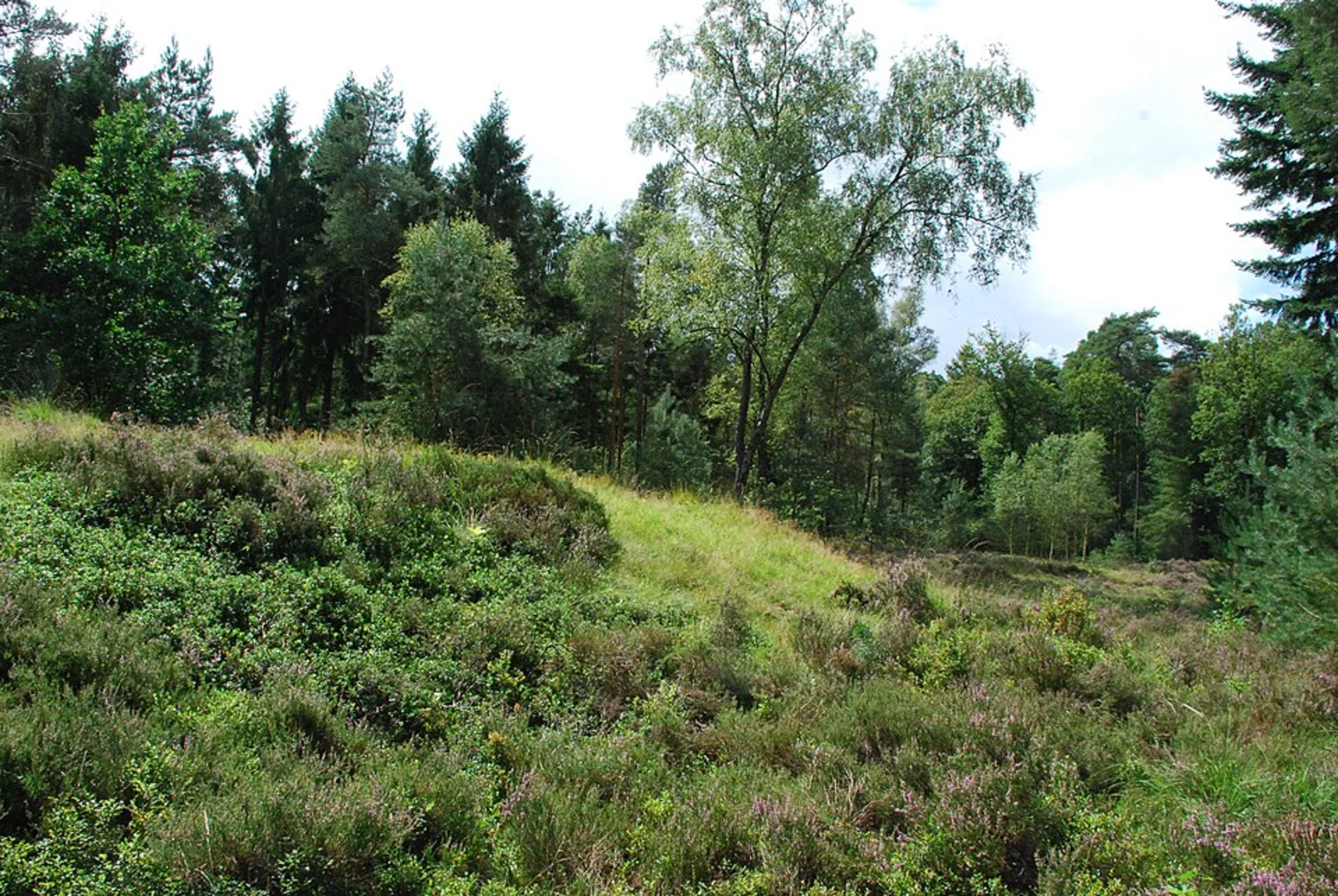 An image depicting the trail Valkenberg Loop and its surrounding area.