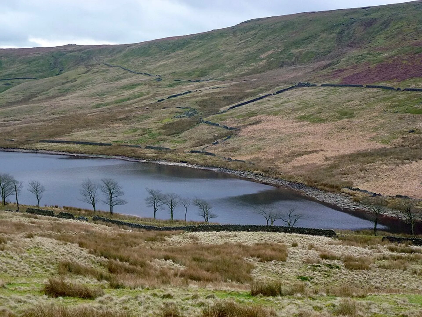 An image depicting the trail Hurstwood, Cant Clough and Upper Gorple Reservoir Loop Walk and its surrounding area.
