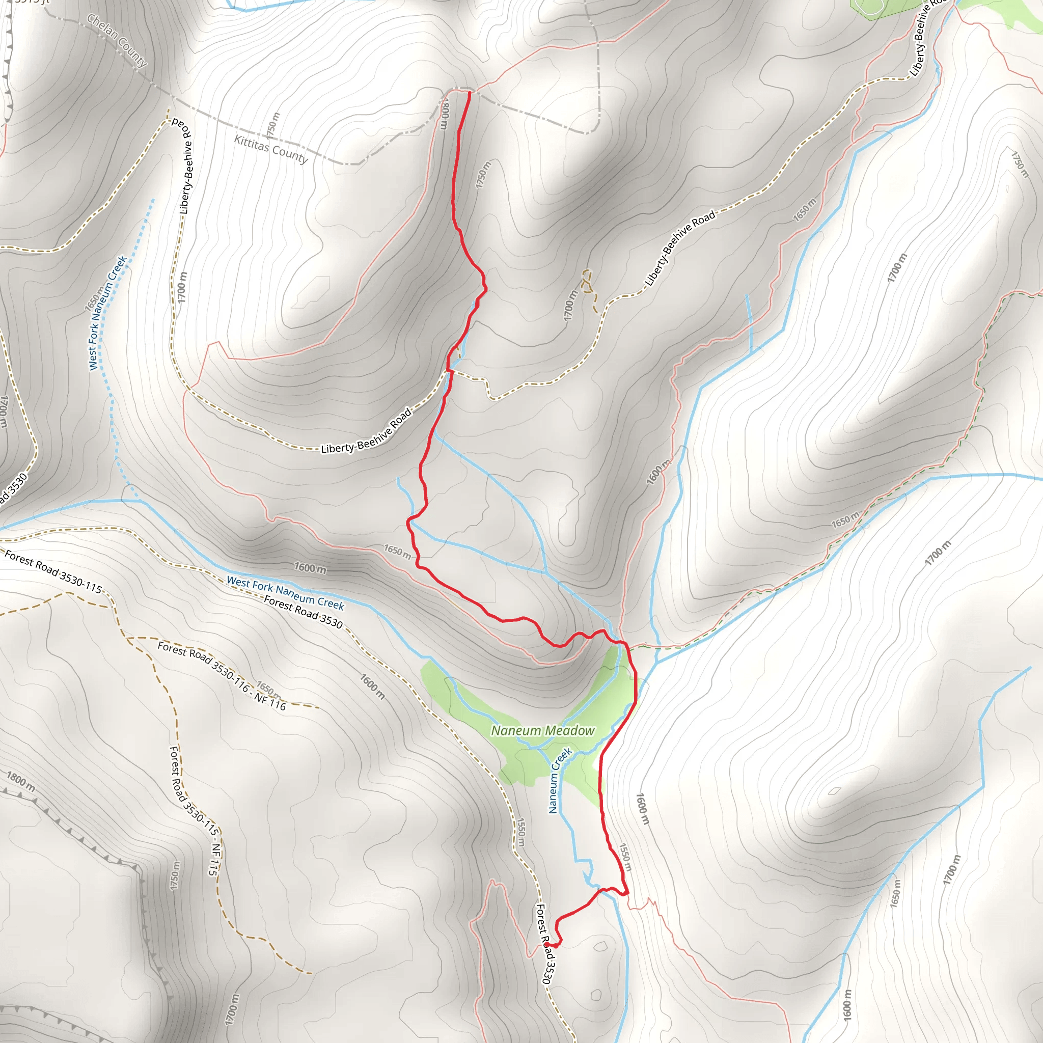 Elk Trap Springs Trail via Naneum Meadows Trail mobile static map