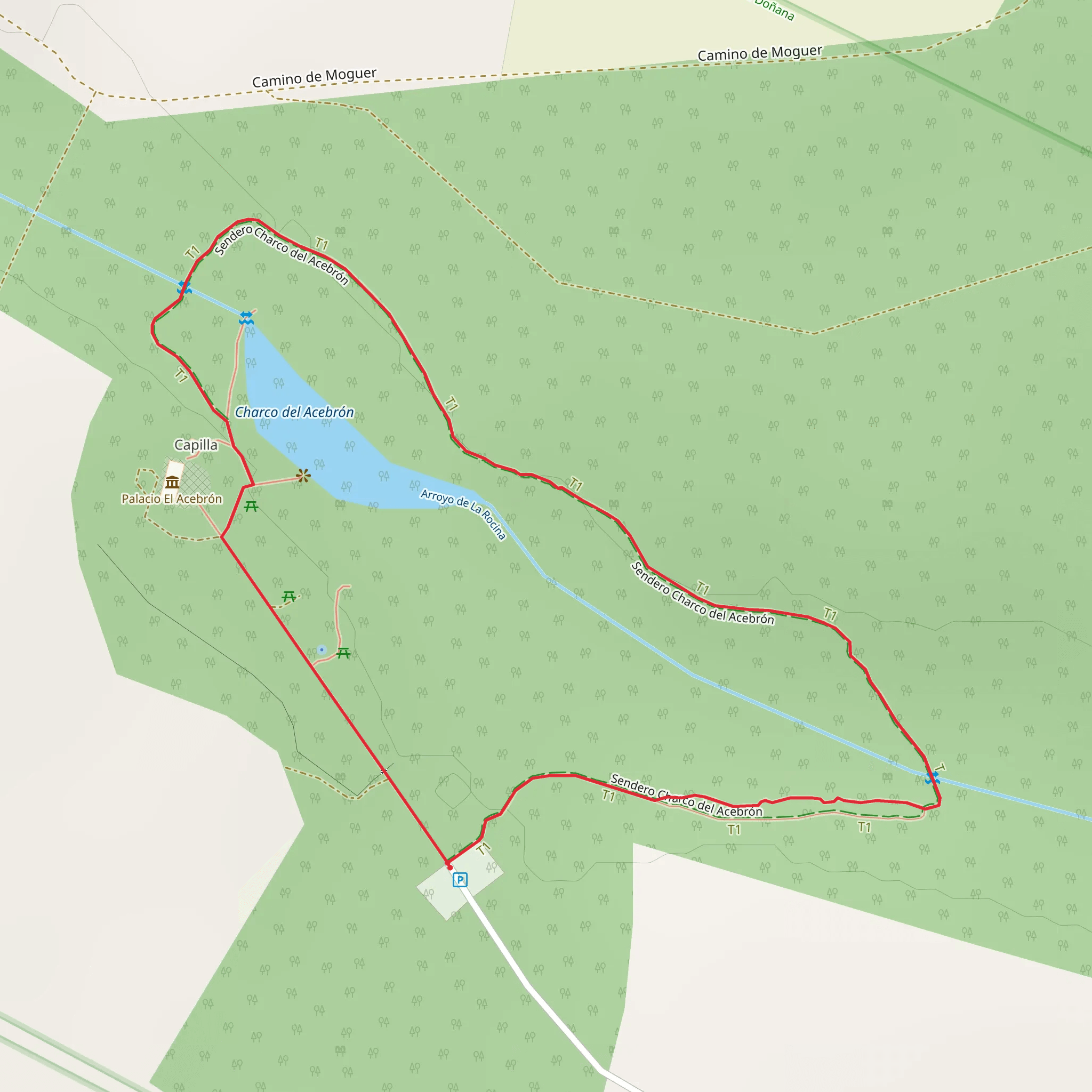 Charco del Acebrón – Palacio del Acebrón Loop mobile static map