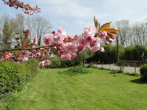 Mid Suffolk Footpath