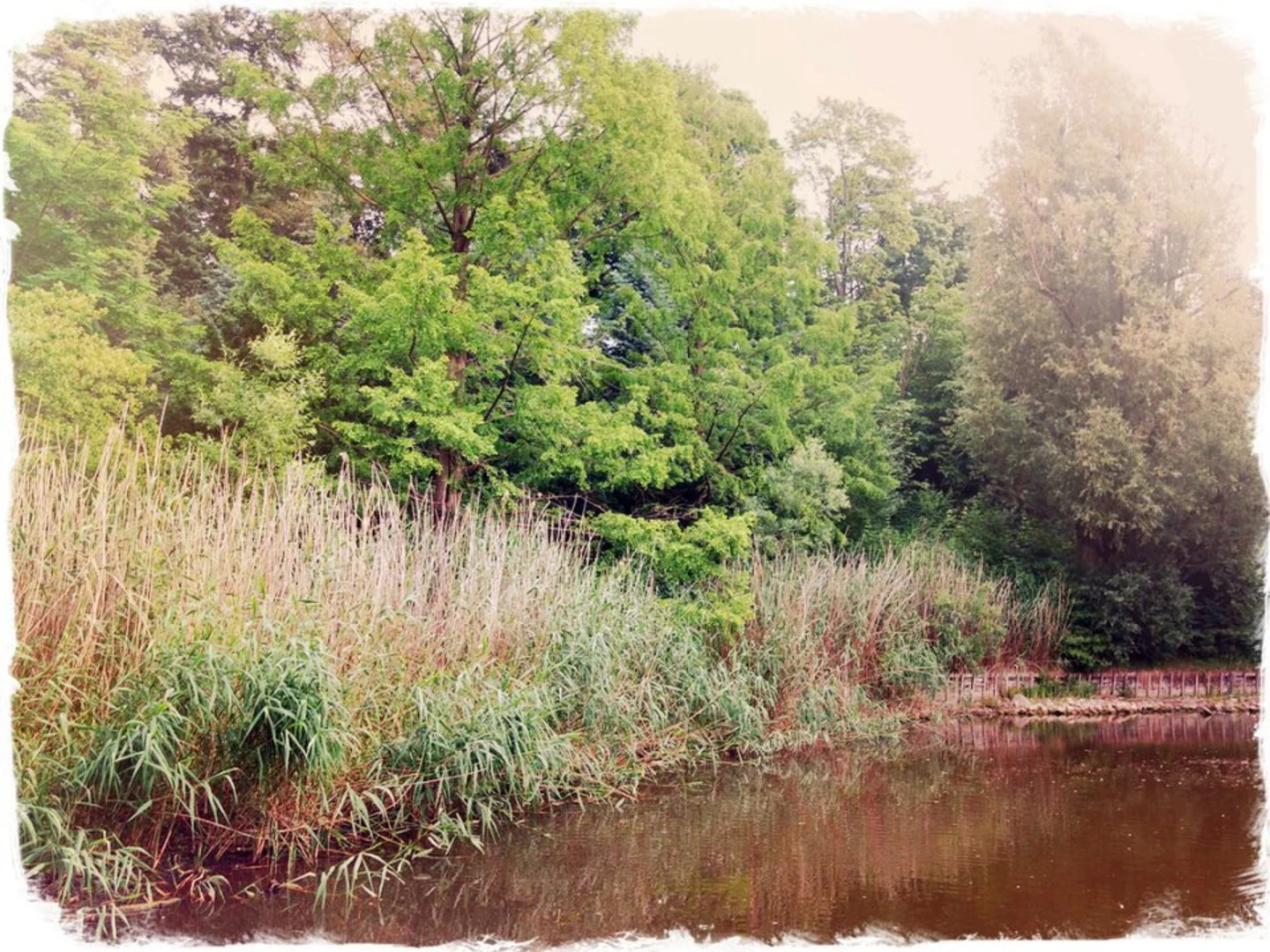 An image depicting the trail Alt Reddevitz and Lobbe Loop and its surrounding area.
