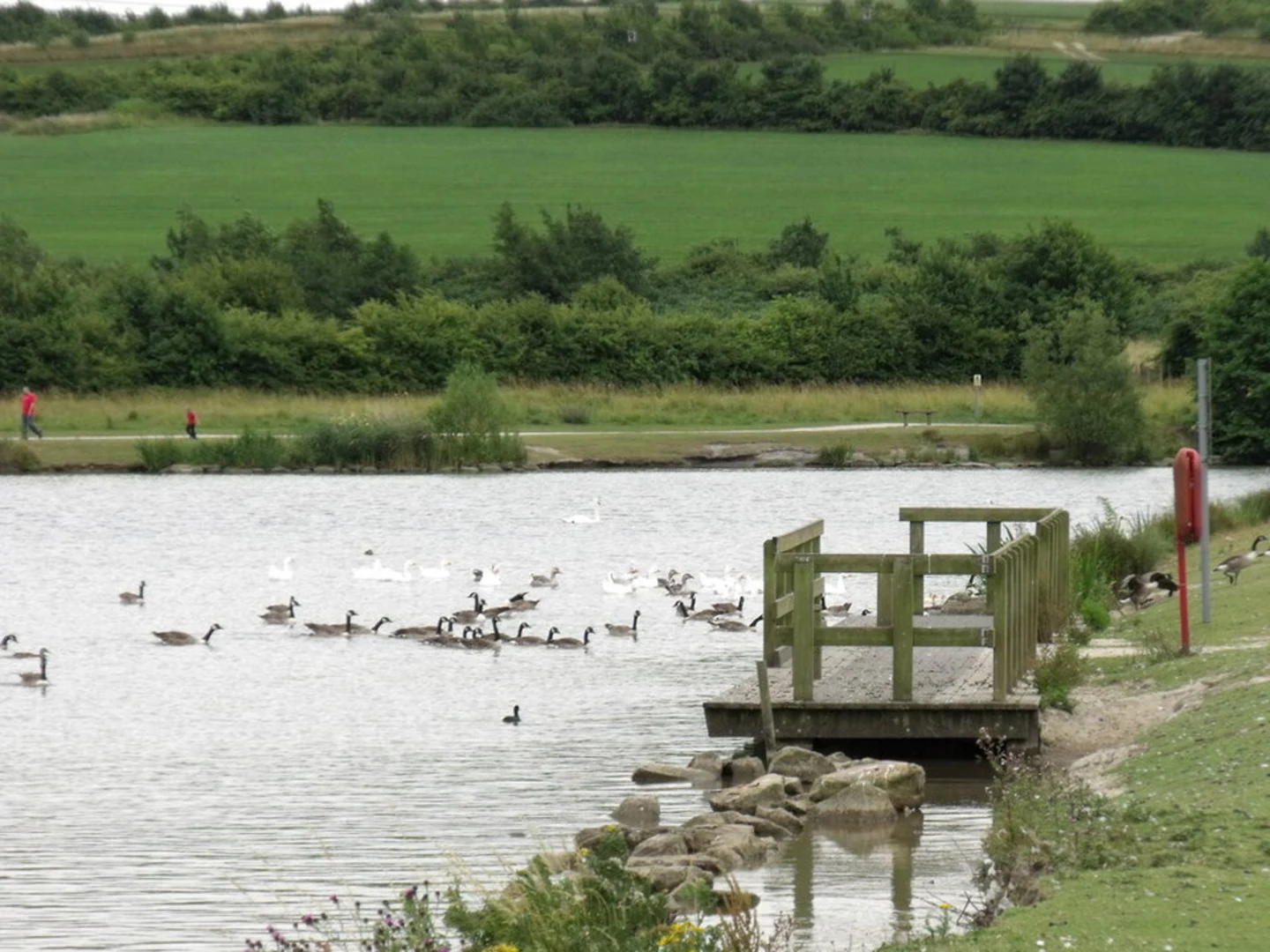 An image depicting the trail Poolsbrook Country Park Loop and its surrounding area.