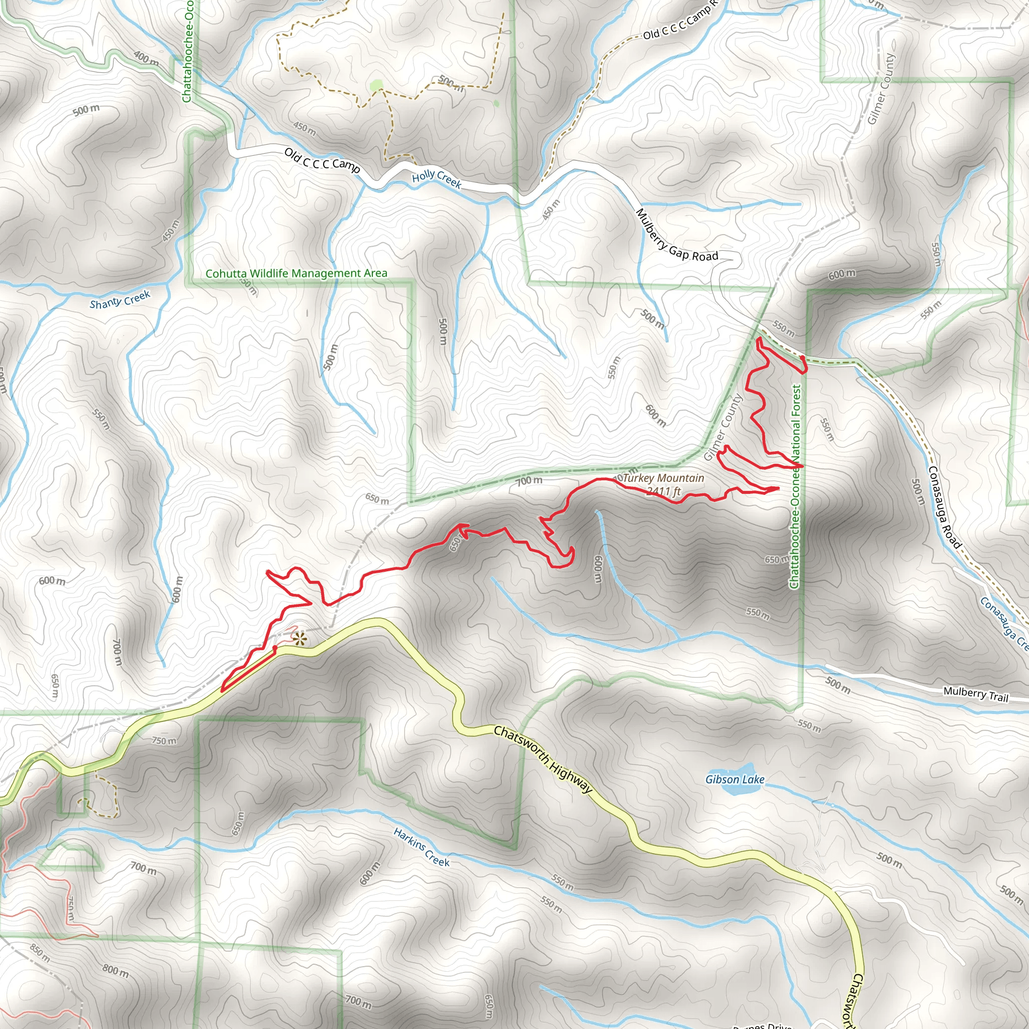 Pinhoti Trail from Conasauga Road mobile static map