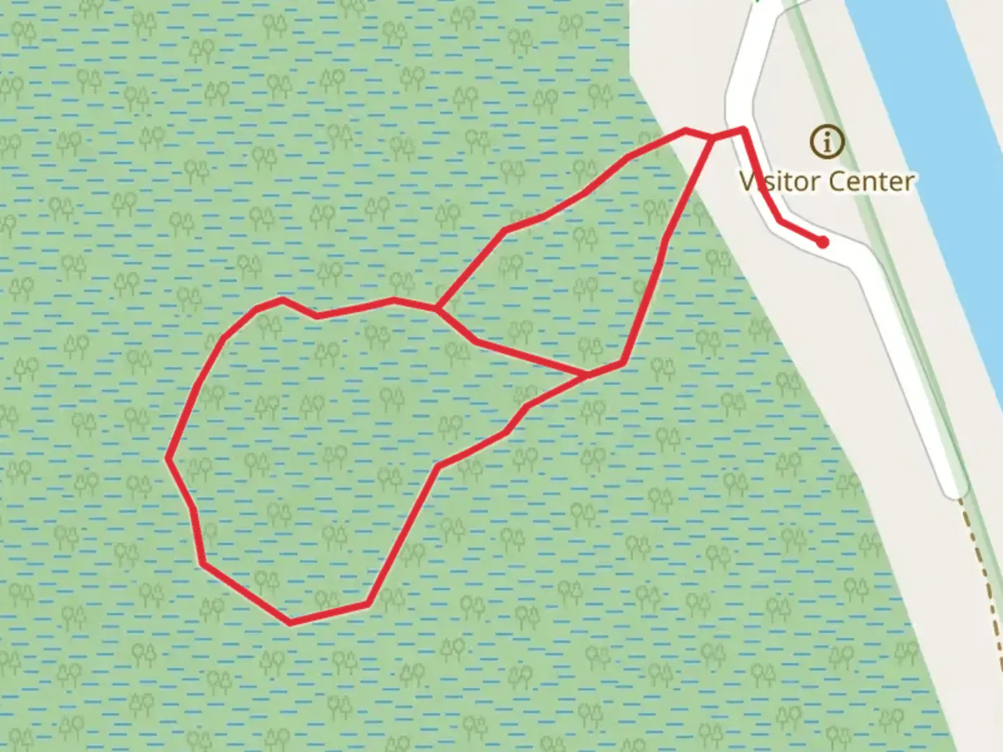 An image depicting the trail Dismal Swamp Boardwalk Loop and its surrounding area.