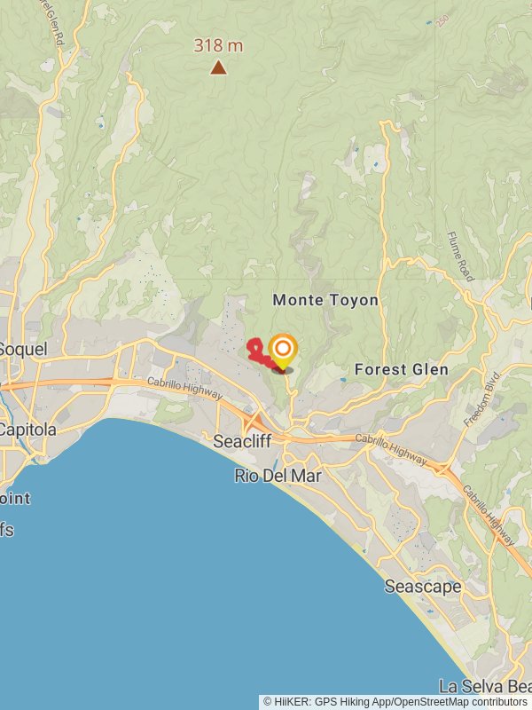 Marcel's Forest Loop via Oak Ridge Trail