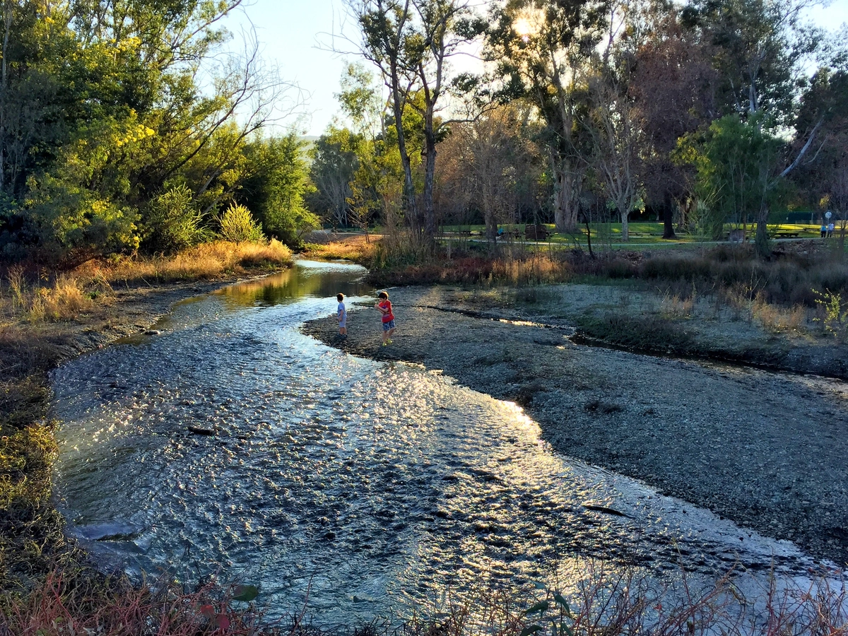 Los Gatos Creek Trail from Lexington Reservoir